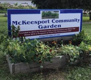 McKeesport Community Garden